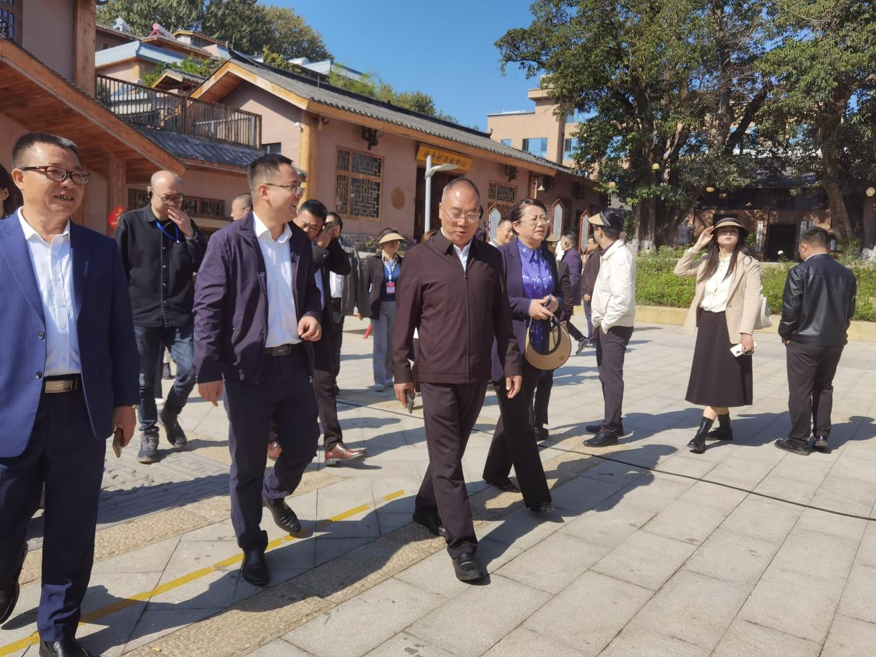全省文化旅游融合示范項目工作總結(jié)交流會代表團考察學(xué)習(xí)大石板項目(圖7) 全省文化旅游融合示范項目工作總結(jié)交流會代表團考察學(xué)習(xí)大石板項目(圖7)