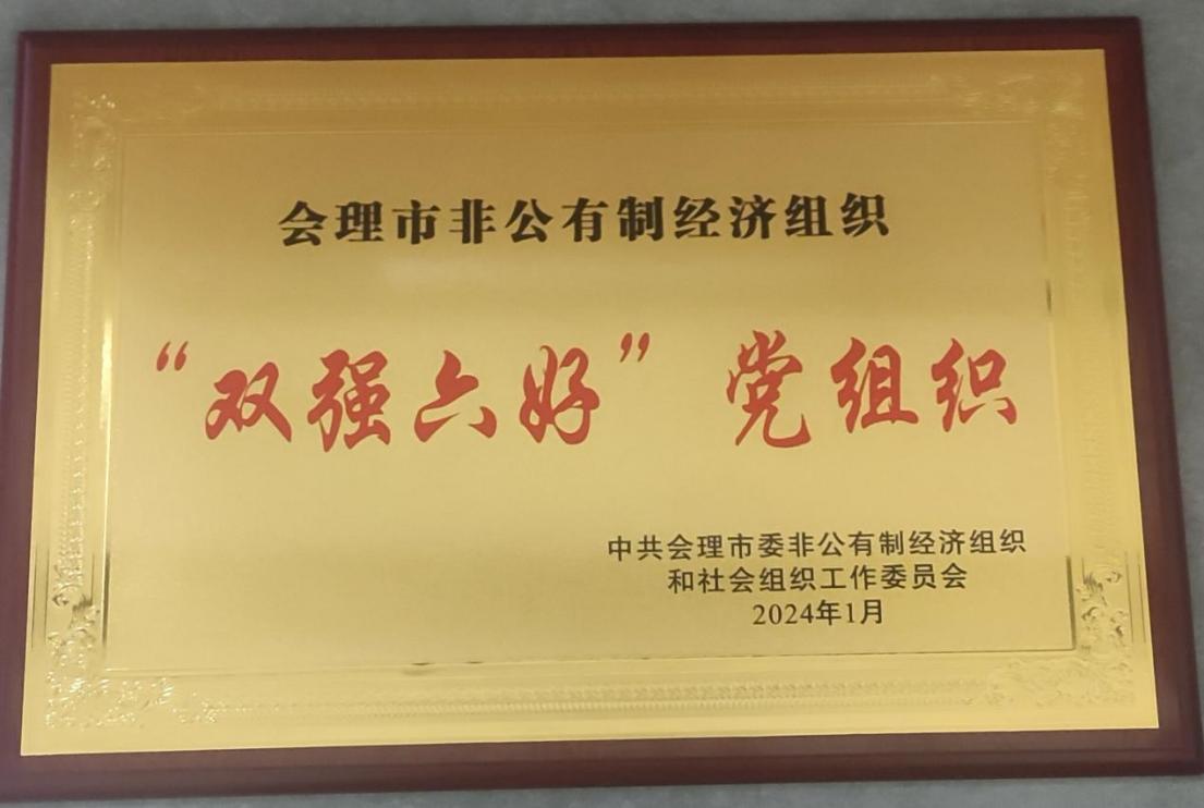 喜訊！礦業(yè)總公司財通公司黨支部榮獲會理市“雙強六好”黨組織稱號