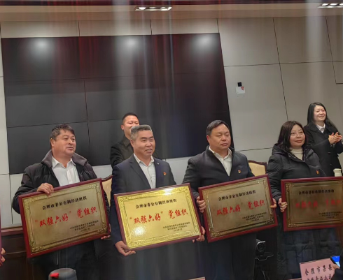 喜訊！礦業(yè)總公司財通公司黨支部榮獲會理市“雙強六好”黨組織稱號(圖2)