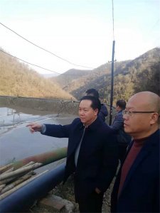 集團公司首席市場官張遠貴調(diào)研 陜南釩鈦鐵礦市場