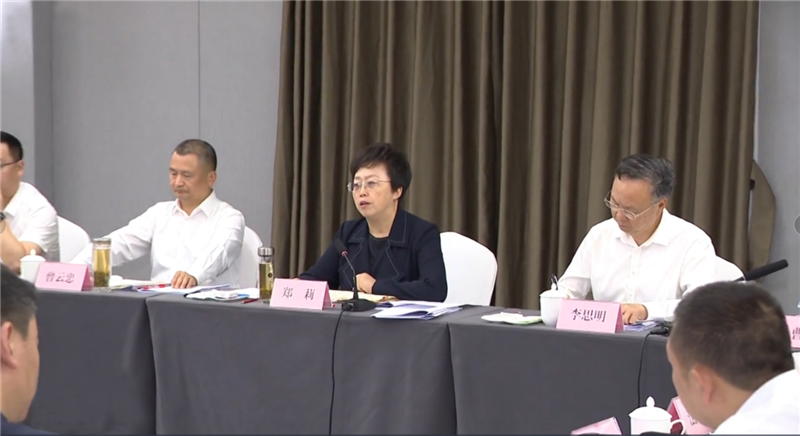 市委書記鄭莉蒞臨川威調(diào)研指導轉型發(fā)展工作(圖6)